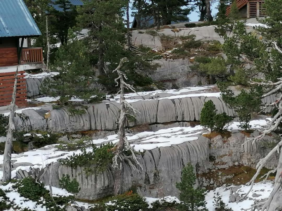 Studio Montagne A La Pierre St Martin アレット エクステリア 写真